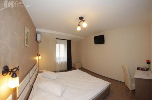 Pension Cleopatra Targu Mures Exterior foto
