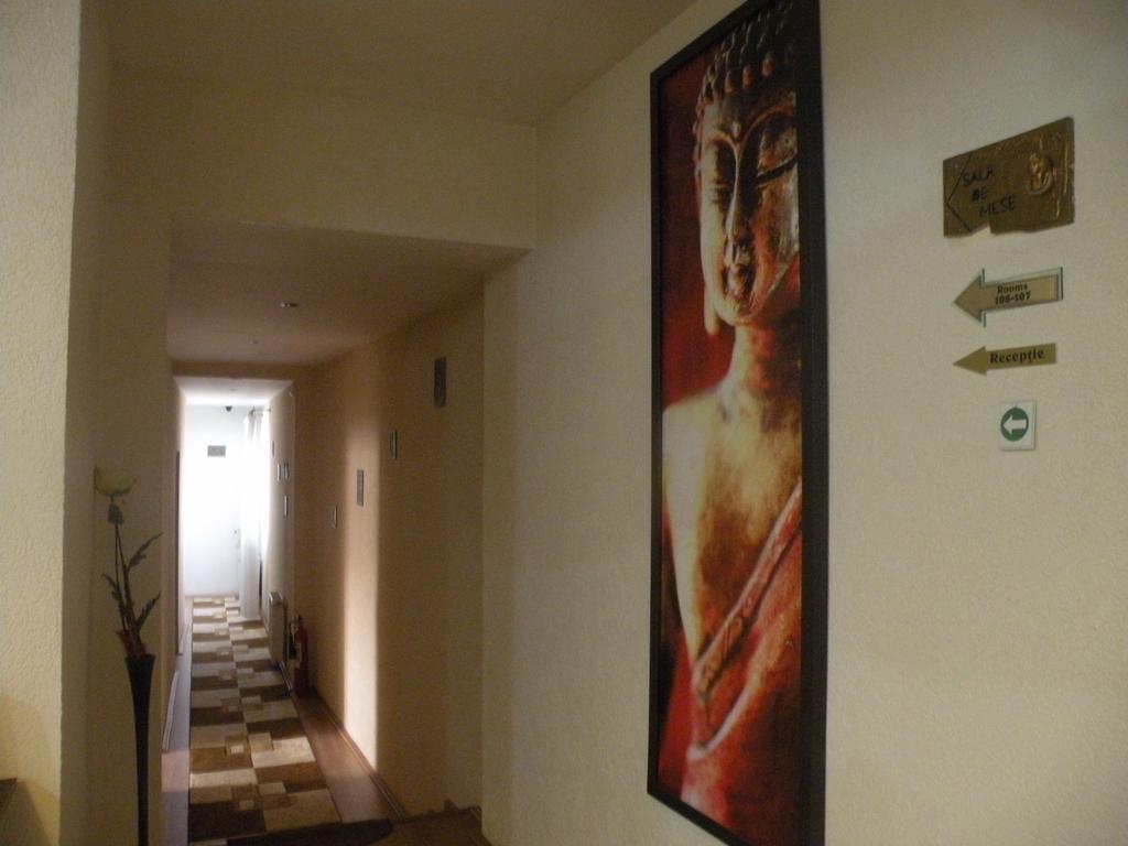 Pension Cleopatra Targu Mures Exterior foto